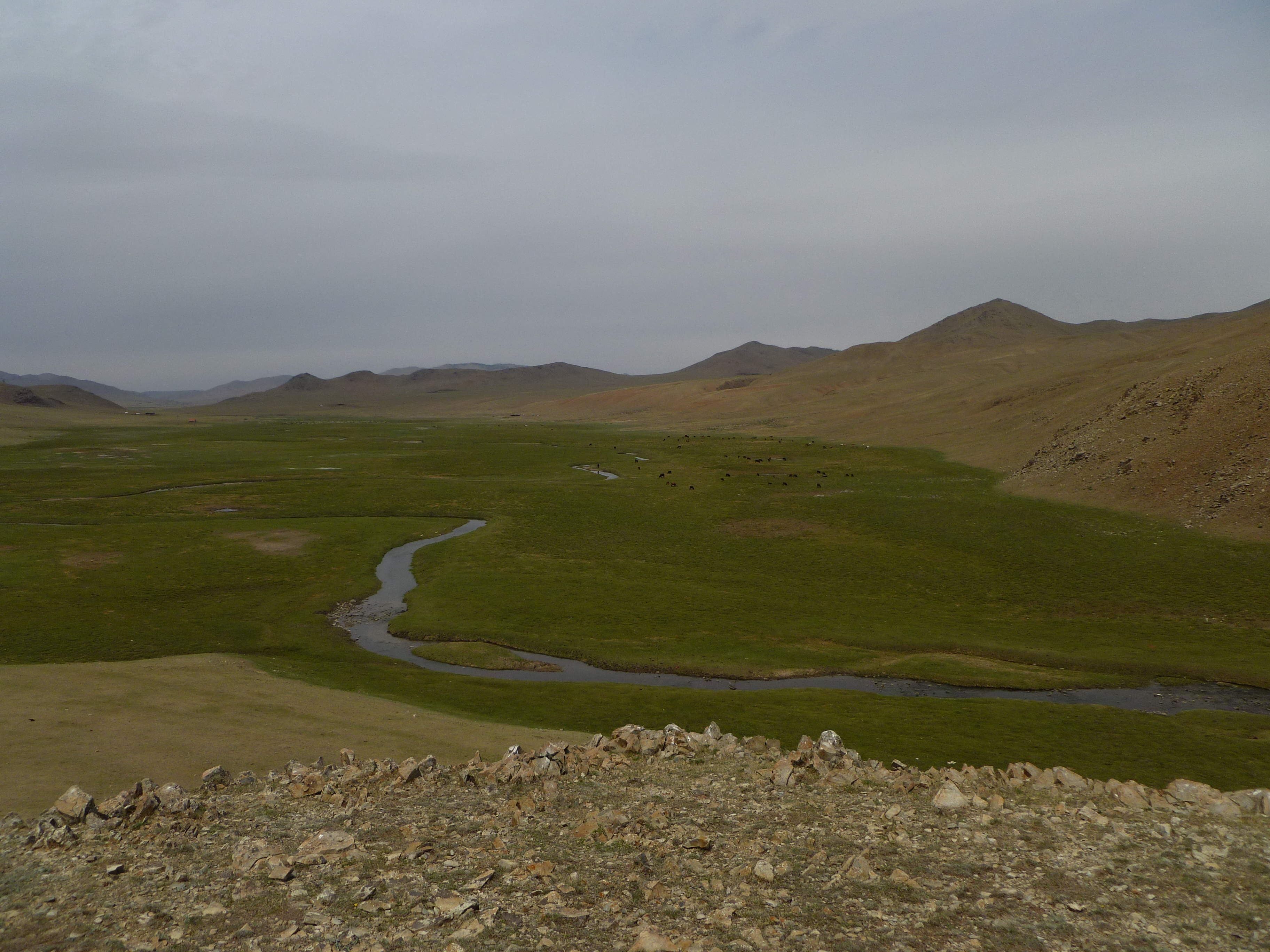 Mongolia-UlziitSum