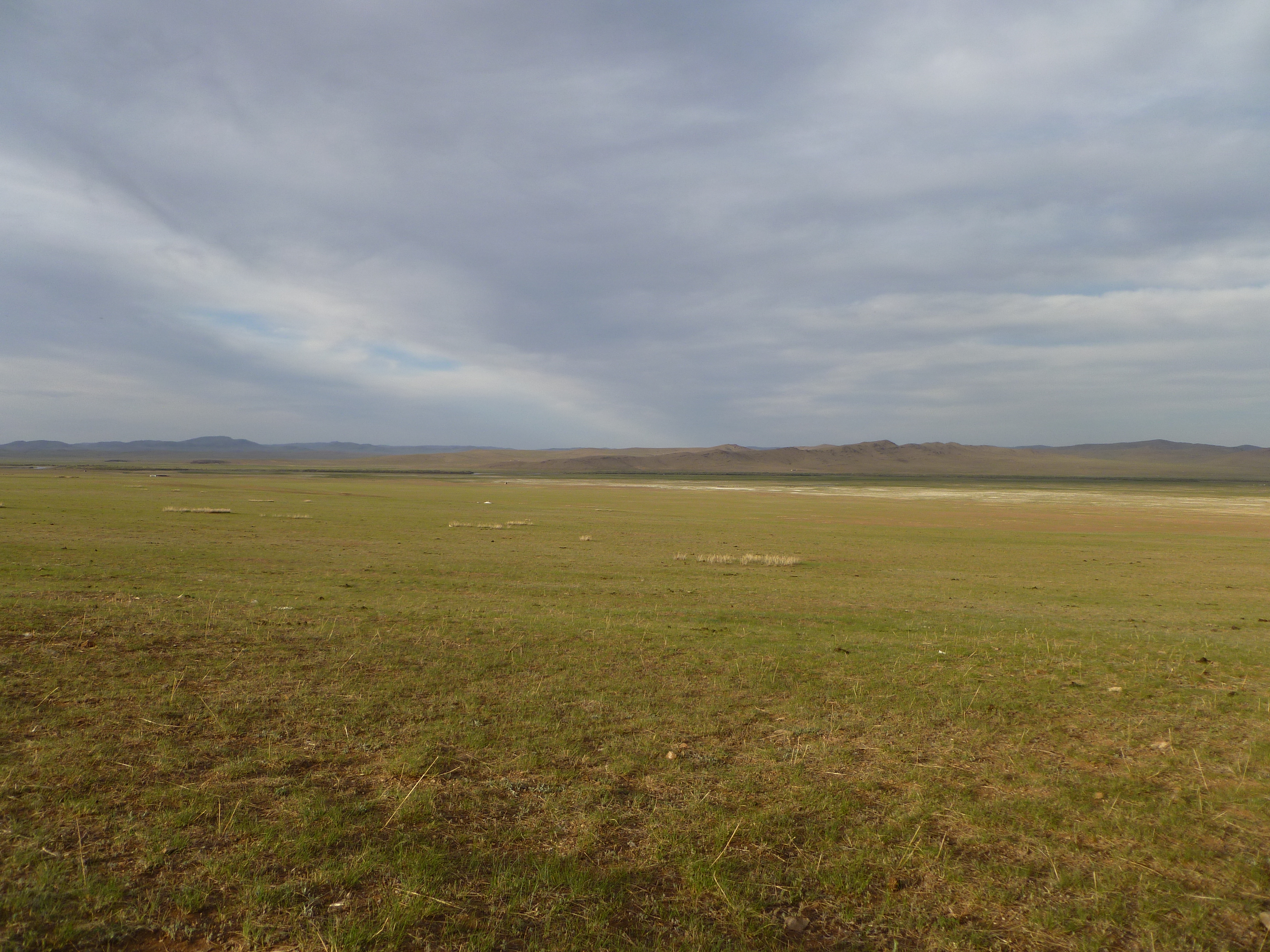 Mongolia_ChezTumuruu-steppe