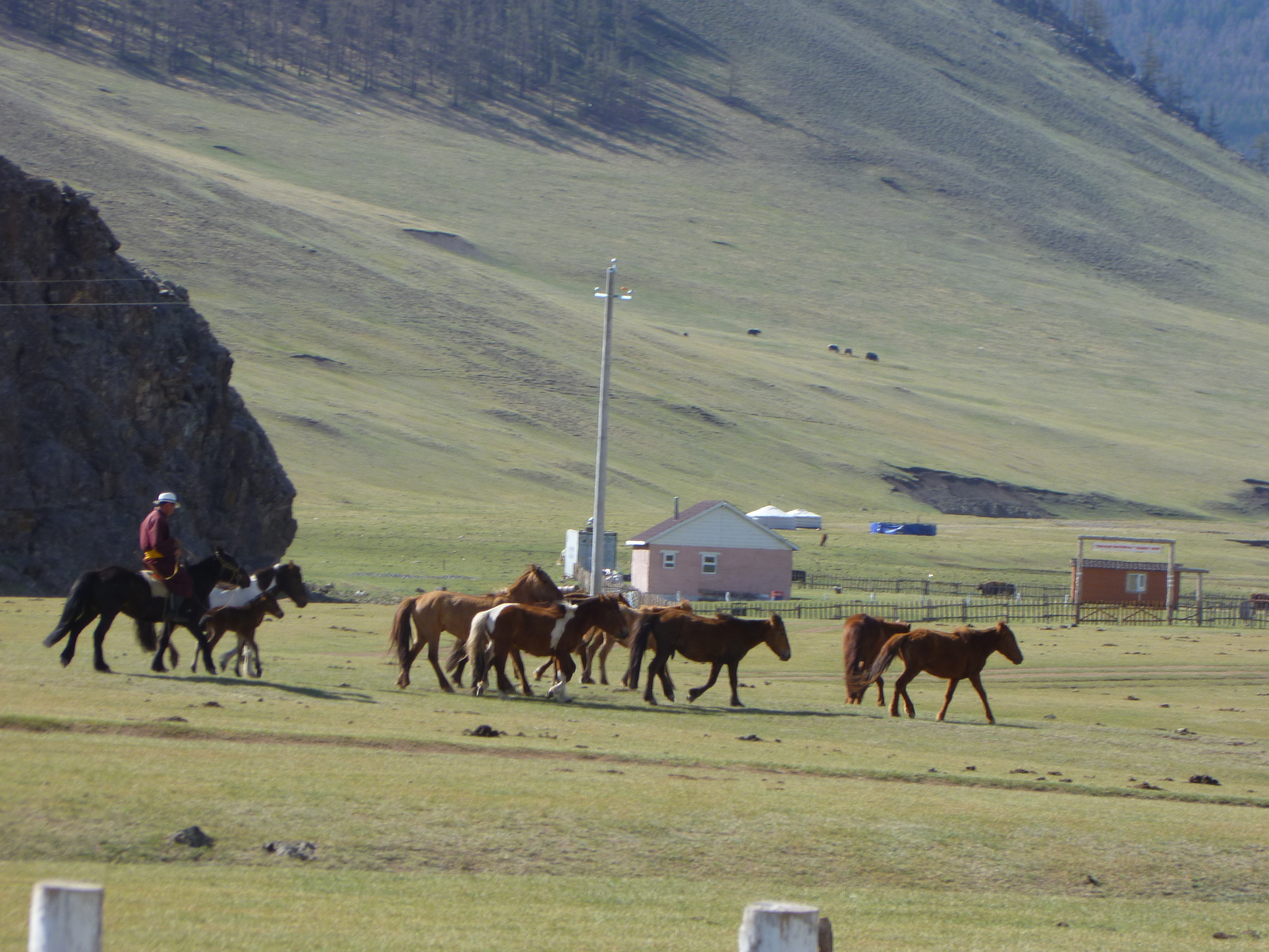Mongolia_Orkhon-Cowboys&amp;horses