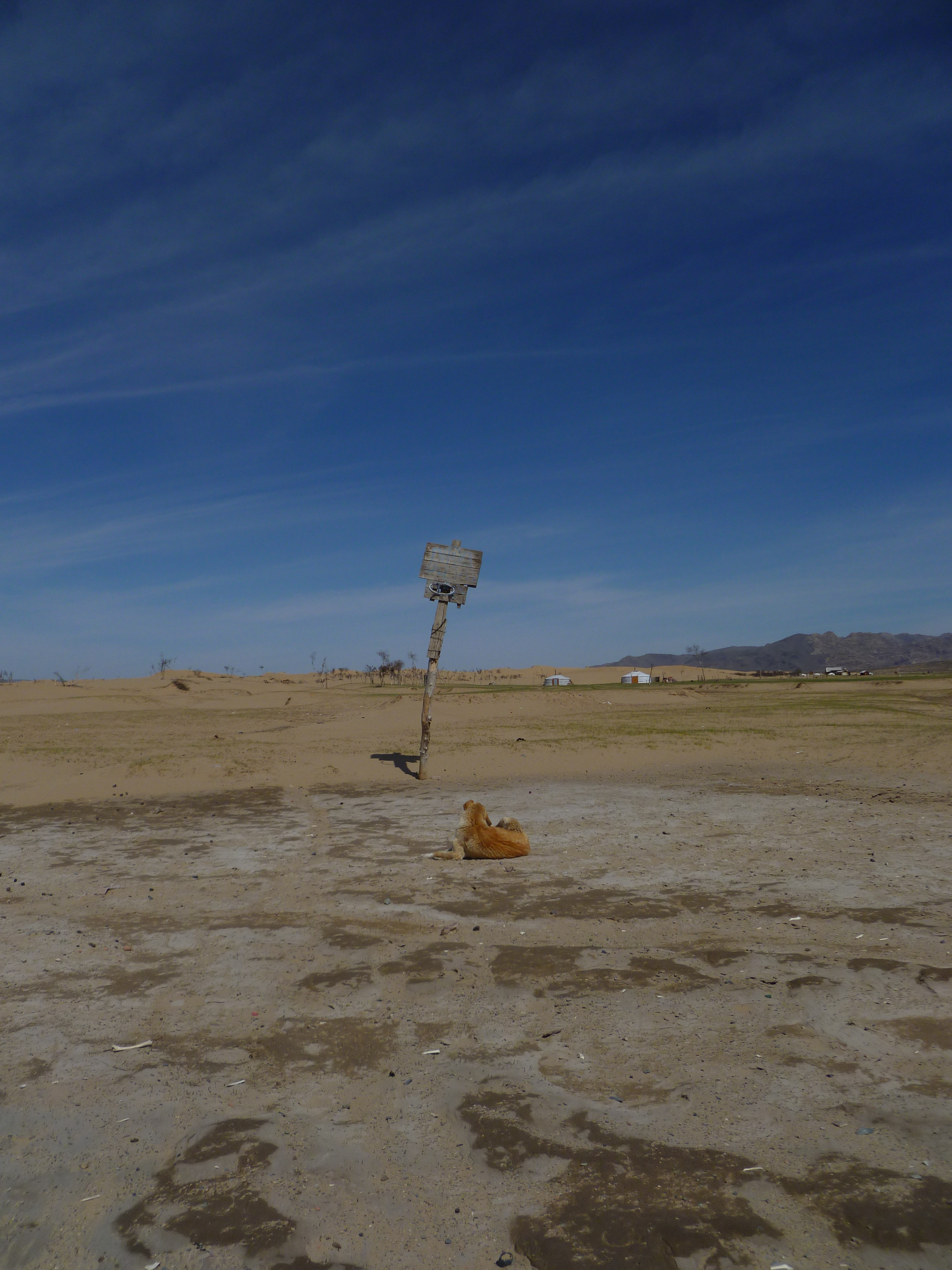 Mongolia_PetitGobi-NBA6