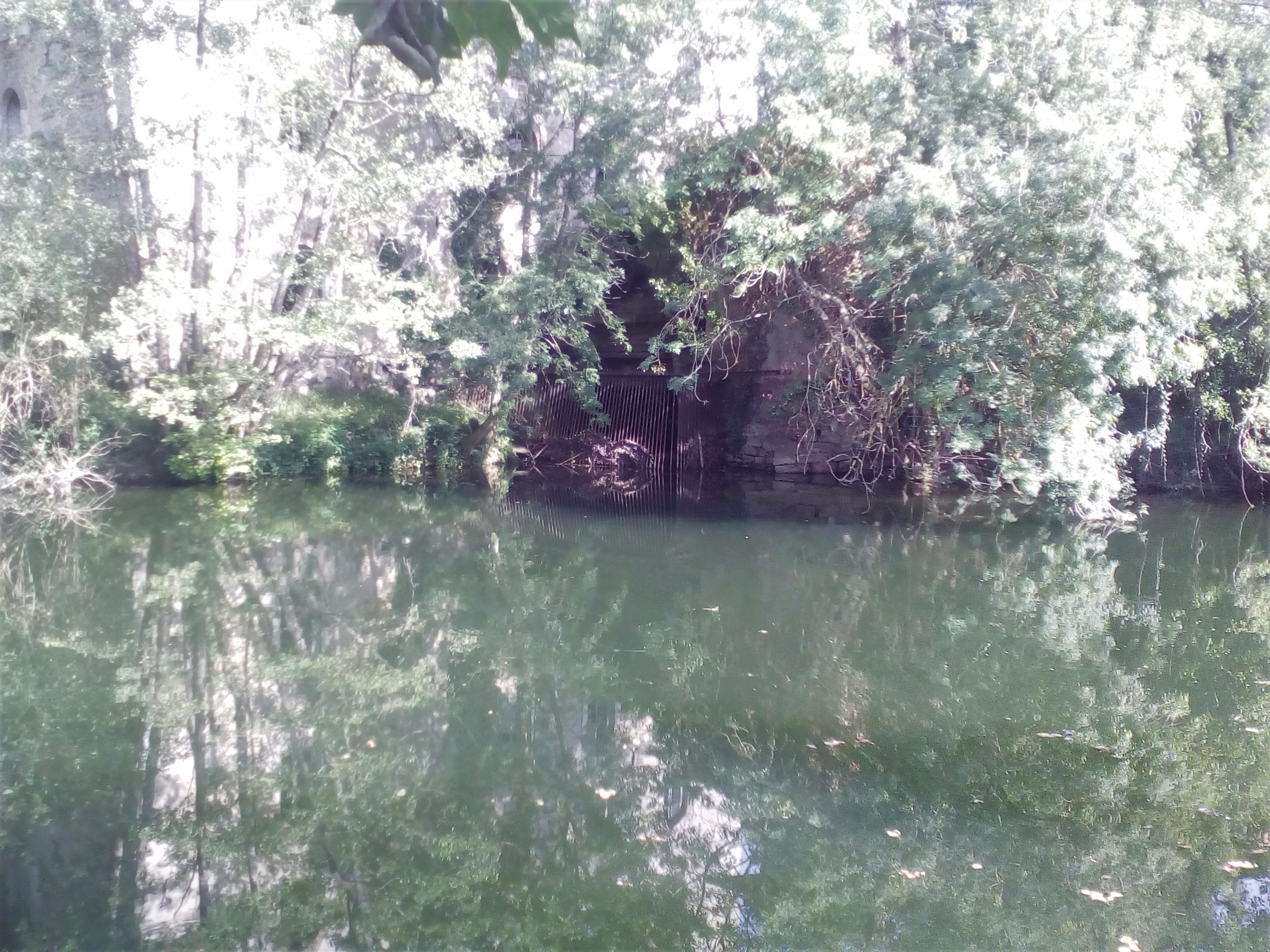 IMG_20190826_172125bis