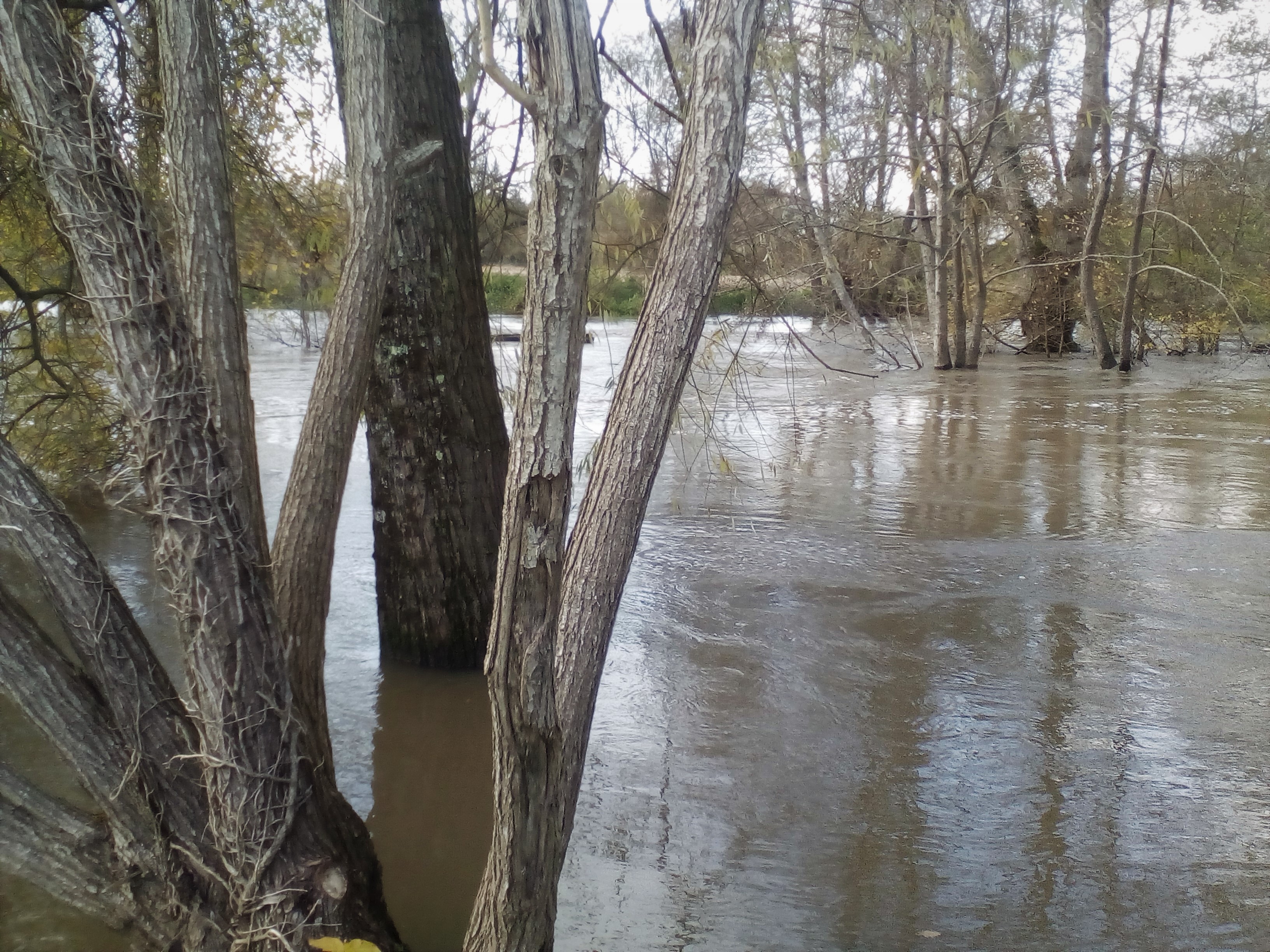 IMG_20191129_1409272