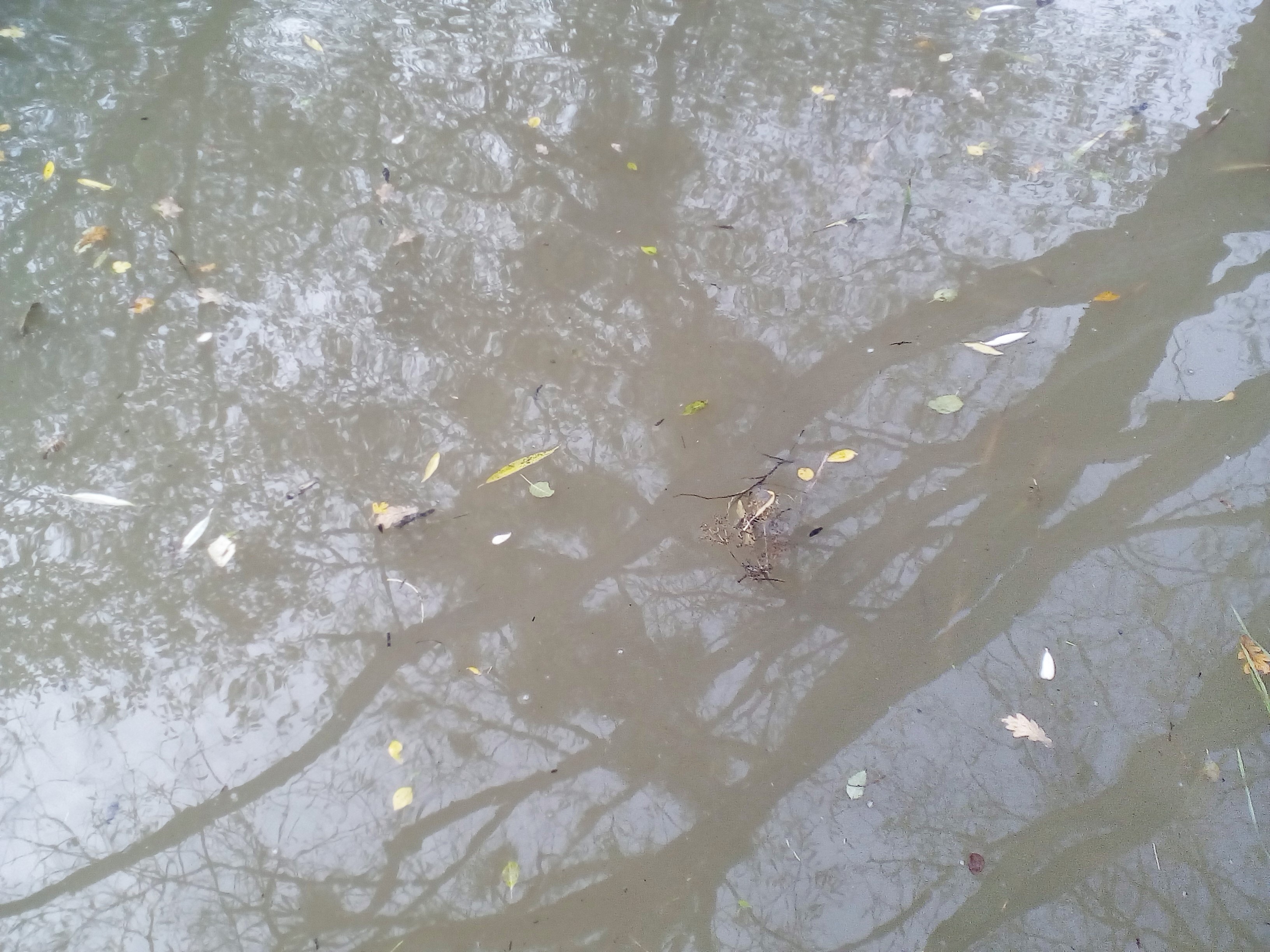 IMG_20191129_1409442