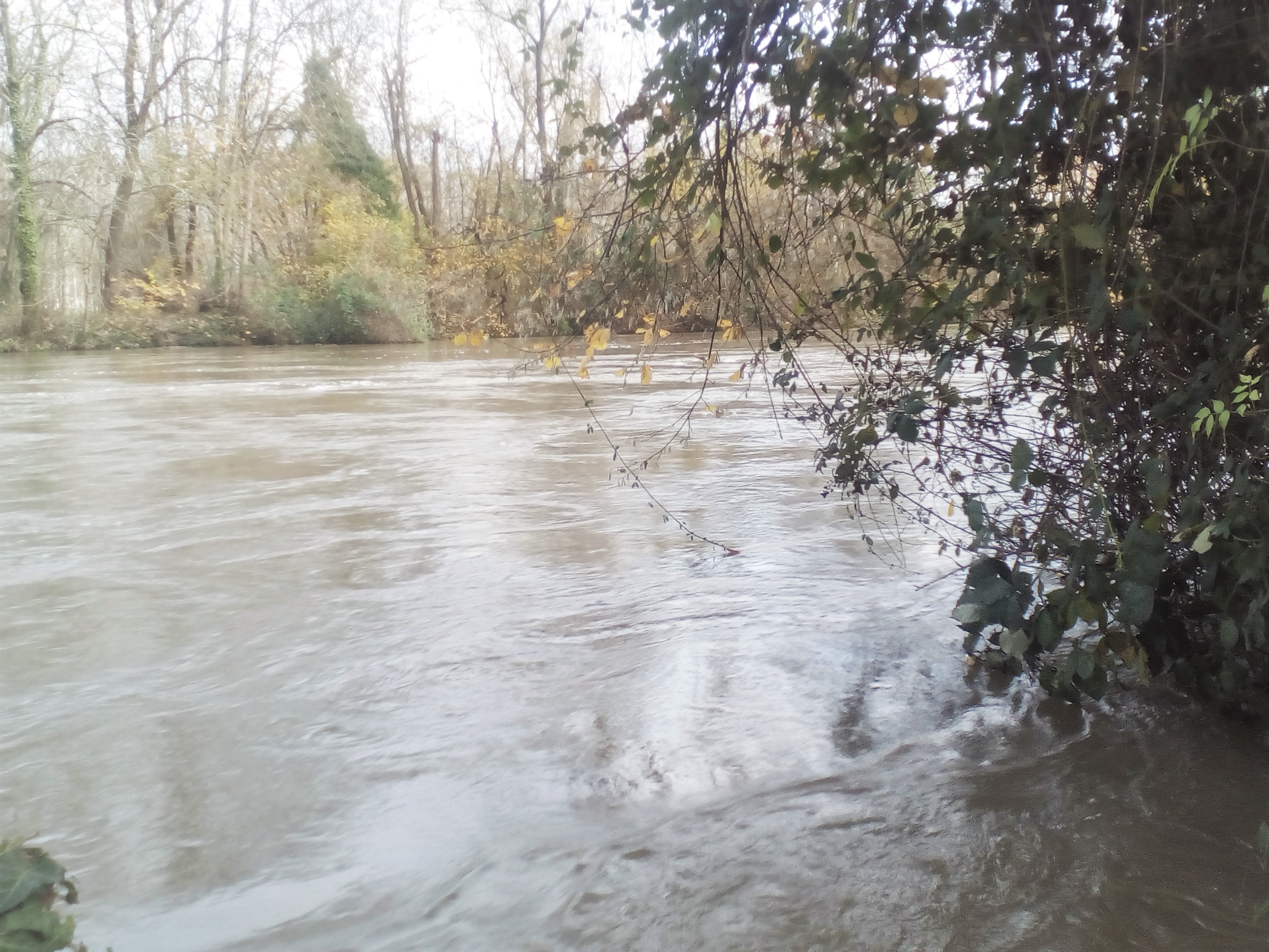 IMG_20191129_1549102