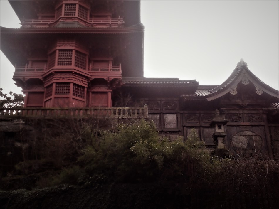 IMG_20200228_1237261